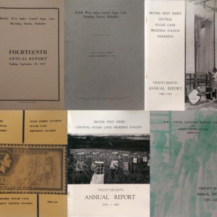 Front covers of WICSCBS annual reports, from the 1940s onwards